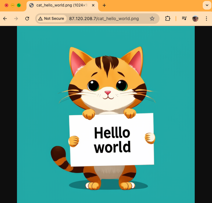Generate Hello World Cat